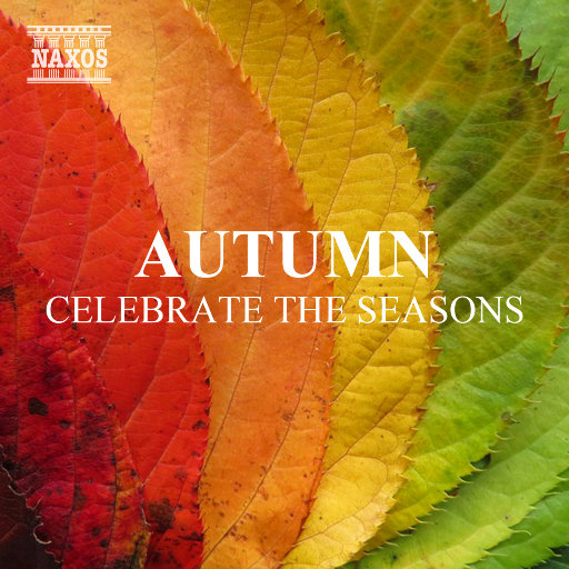 日本一二三区免费更新
