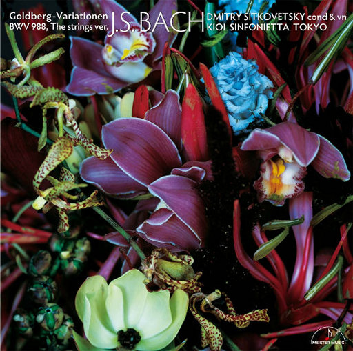 欧美大黑吊掌交
